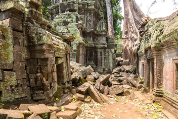 Fototapeta na wymiar Ta Prohm temple in Angkor Wat