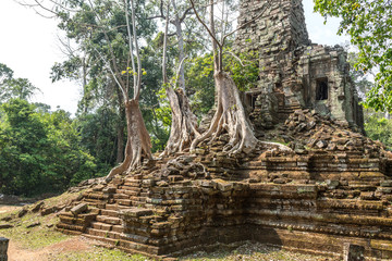 Obraz premium Preah Palilay temple in Angkor Wat