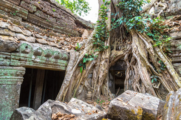Ta Prohm temple in Angkor Wat