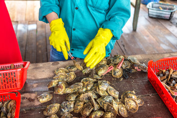 Pearl farm in Halong bay, Vietnam © Sergii Figurnyi