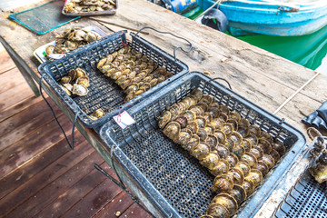 Pearl farm in Halong bay, Vietnam
