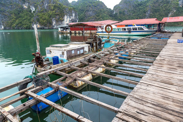 Pearl farm in Halong bay, Vietnam