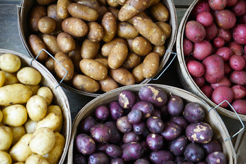 Multicolored Potatoes in Baskets at Market