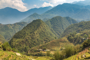 Obraz premium Terraced rice field in Sapa