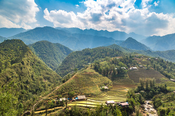 Terraced rice field in Sapa