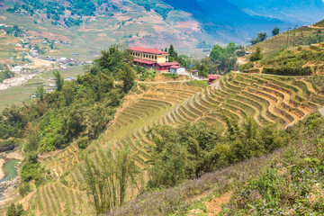 Obraz premium Terraced rice field in Sapa