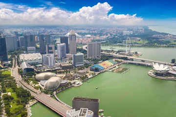 Foto op Plexiglas Panoramic view of Singapore © Sergii Figurnyi