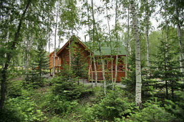 Fototapeta na wymiar wooden made house in the forest