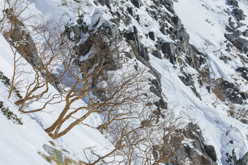 厳冬期の山の風景