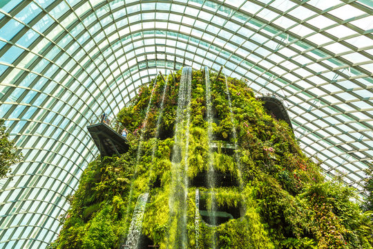 Cloud Forest Dome In Singapore