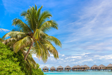 Fototapeta na wymiar Sunbed and umbrella in the Maldives