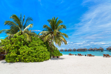 Naklejka premium Sunbed and umbrella in the Maldives