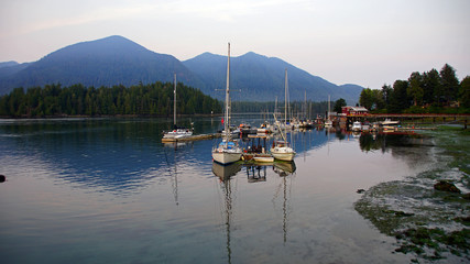 Tofino Harbour 5