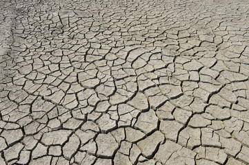 The parched soil