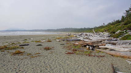 Ucluelet,3