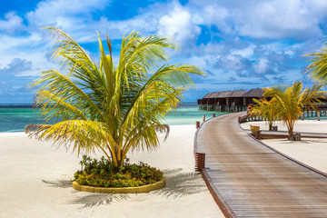 Obraz premium Water Villas (Bungalows) in the Maldives