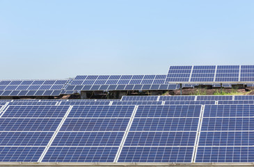 Obraz premium rows array of polycrystalline silicon solar cells or photovoltaics in solar power plant turn up skyward absorb the sunlight from the sun alternative renewable energy on blue sky 