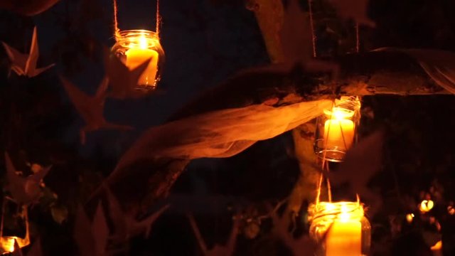 candles hanging on tree with origami cranes