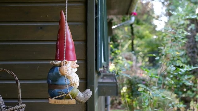 Garden gnome is sitting on a swing, gently swinging by the wind. Garden gnome with red high hat and large white beard.