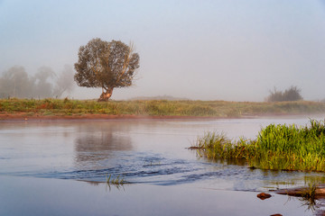 Dolina Górnej Narwi © podlaski49