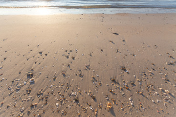 Nice sandy beach and shells in the morning