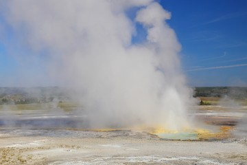 Clepsydra Geyser located in the Fountain Paint Pot area of Yellowstone, national park, Wyoming, USA