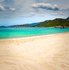 White sand beach. Vietnam
