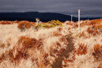 Alpine scenery at Tongariro national park. Hiking in New Zealand