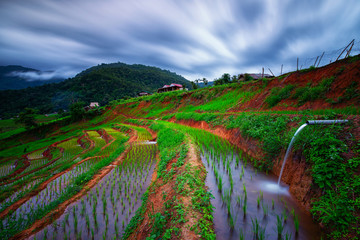 Viewpoint,Terraced rice field in Pa Pong Pieng,Mae Chaem,Chiang Mai,Thailand