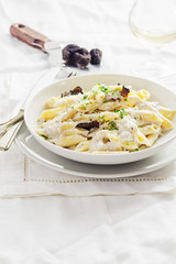 Penne alla norcina - Italian  pasta with  cream sauce and black truffle in white plate, free text space.