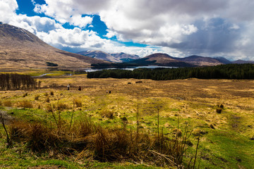 Mountains, lake, forest, valley and a dramatic sky in Scottish Highlands