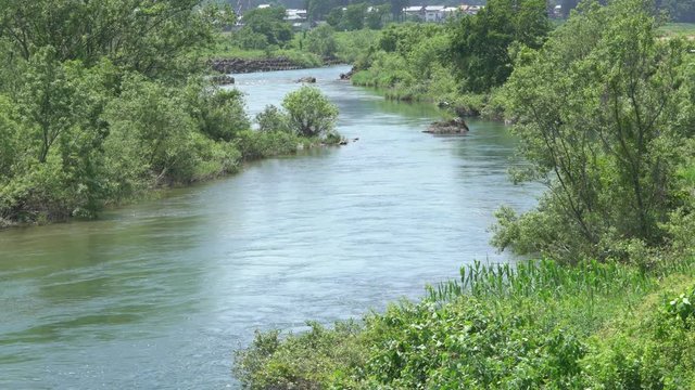 大河　川　鳥