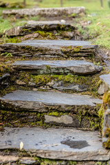 Fototapeta na wymiar Stone steps in grass