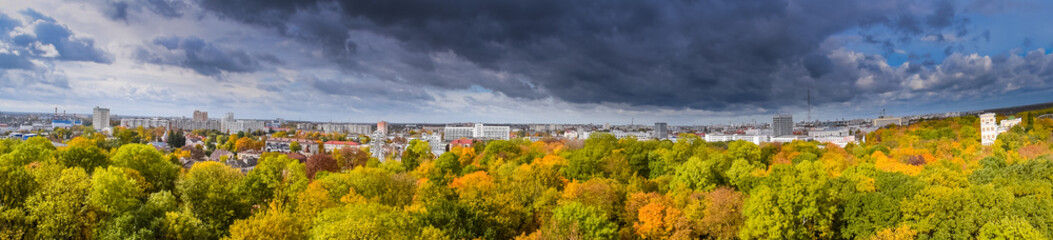 Fototapeta na wymiar Panoramic view of the city in the trees.
