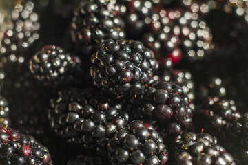 lots of sweet ripe blackberries