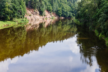sunny summer day with the river and the forest landscape - beautiful forest reflection in the river; There are some trees in the water on the shore
