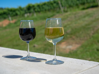 Full glasses of red and white wine on sunny day in front of winery grape vines 