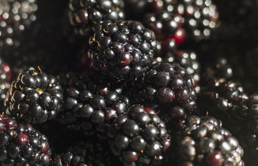 lots of sweet ripe blackberries
