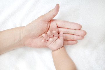 新生児の小さな手包むように乗せたお母さんの大きな手、愛情、母性イメージ