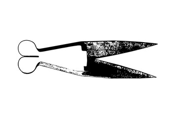 Old rusty scissors for shearing sheep. Vector illustration