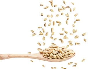 Were scattering sun flower seed on the wooden spoon isolated on a white background.