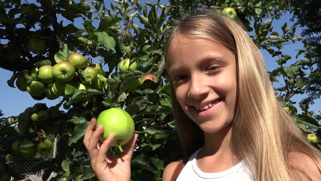Farmer Child in Apple Orchard, Country Girl Tasting Fruits in Tree at Village