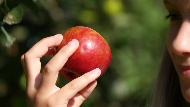 Farmer Child in Apple Orchard, Country Girl Tasting Fruits in Tree at Village