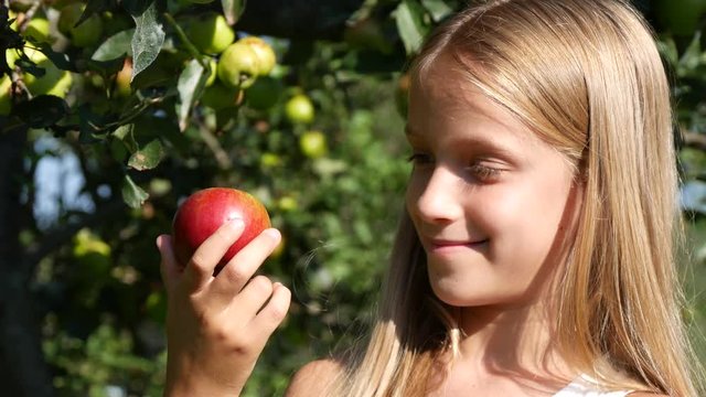 Farmer Child in Apple Orchard, Country Girl Tasting Fruits in Tree at Village