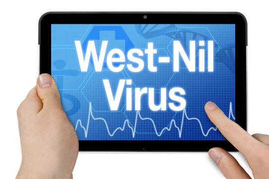 Tablet mit Diagnose West-Nil-Virus