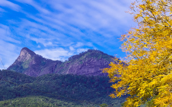 view of Mt Warning from Tyalgum in Northern New South Wales, Australia