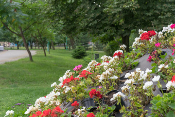 flower arrangement in a city park