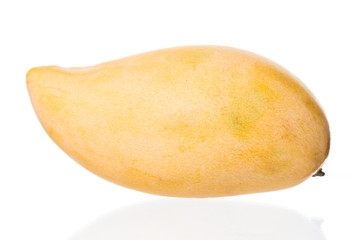 mango fruit on white background