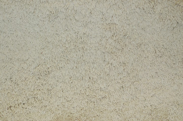 Carpet Background Texture