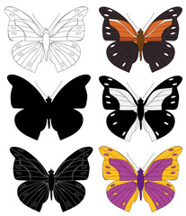 vector, isolated, butterfly, insect, set